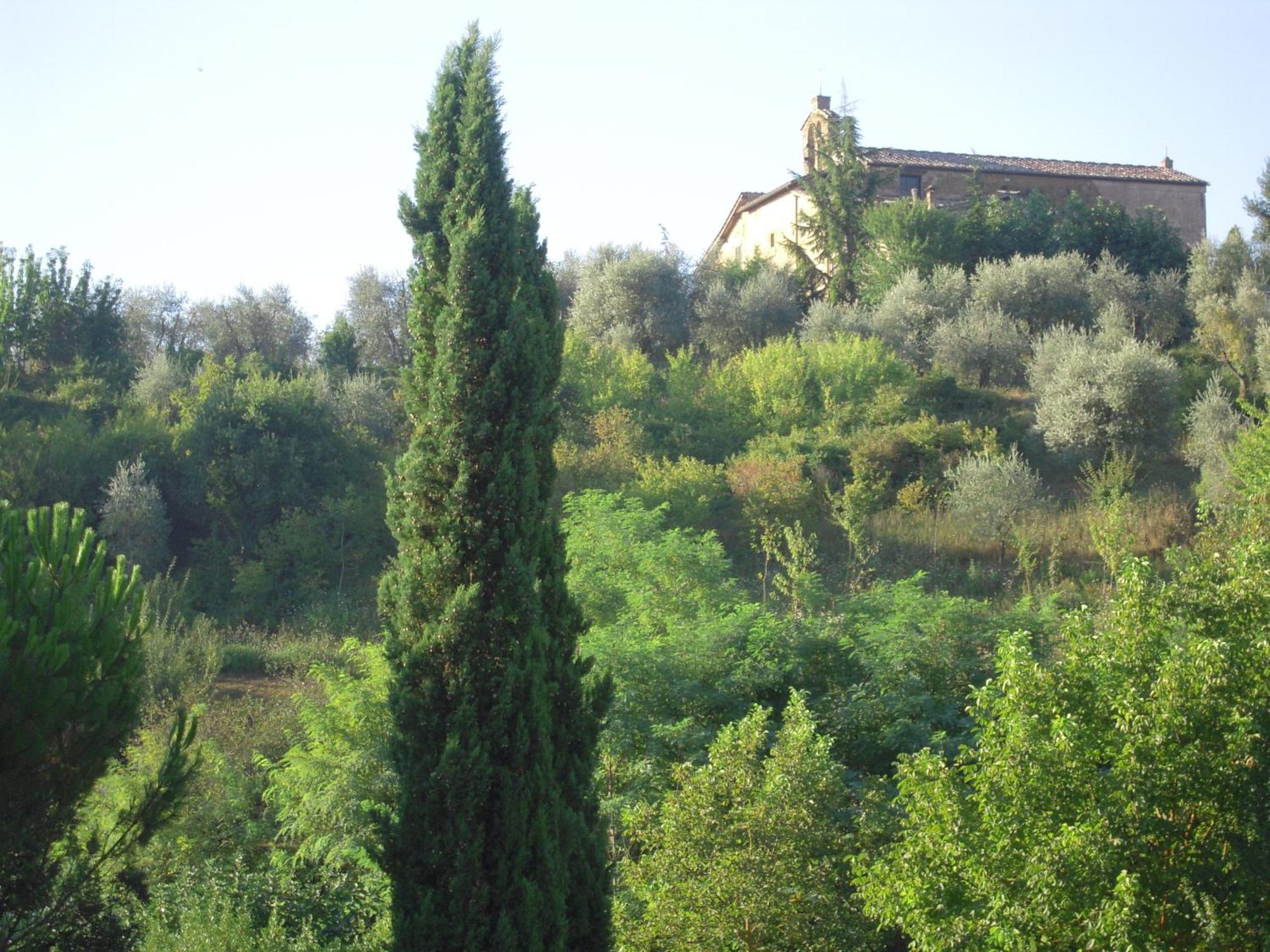Villa Caprera Siena Zimmer foto