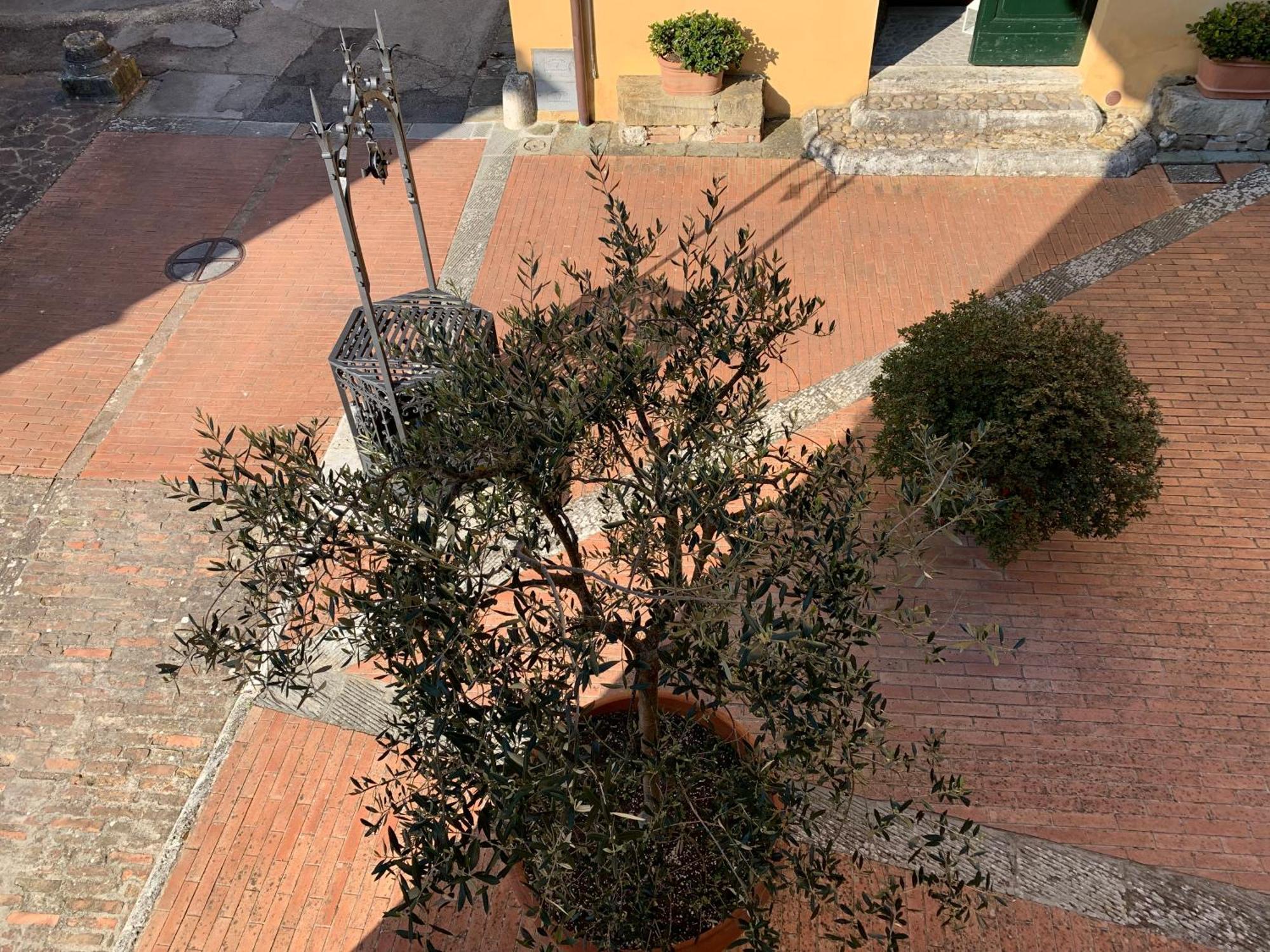 Villa Caprera Siena Zimmer foto